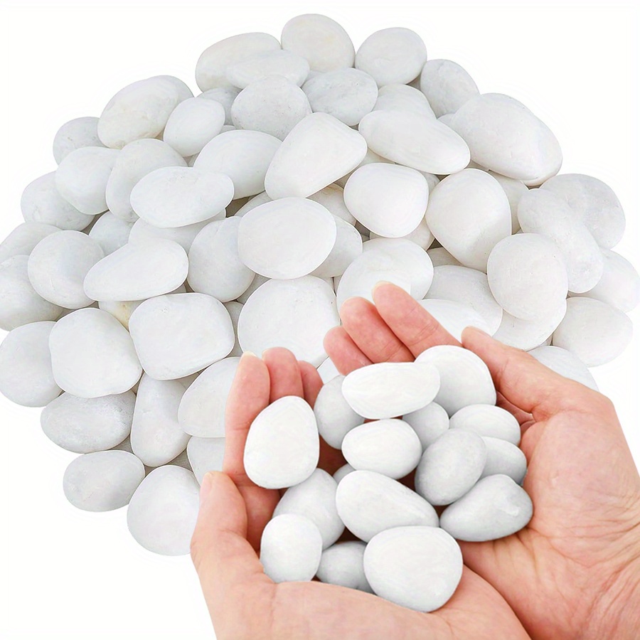 Marine Aquarium Tanks - Cerfsets naturels blancs hautement polis, 200/400g,