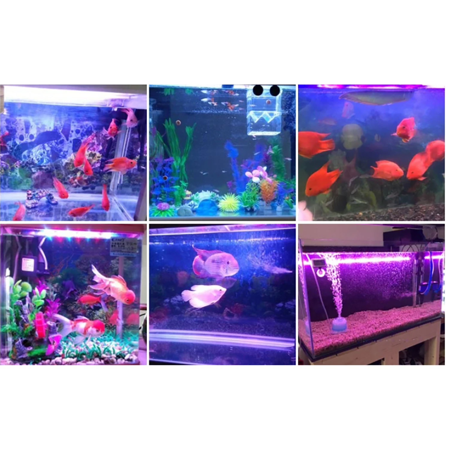 Marine Aquarium Uv Light - Éclairage LED pour aquarium marin multichip