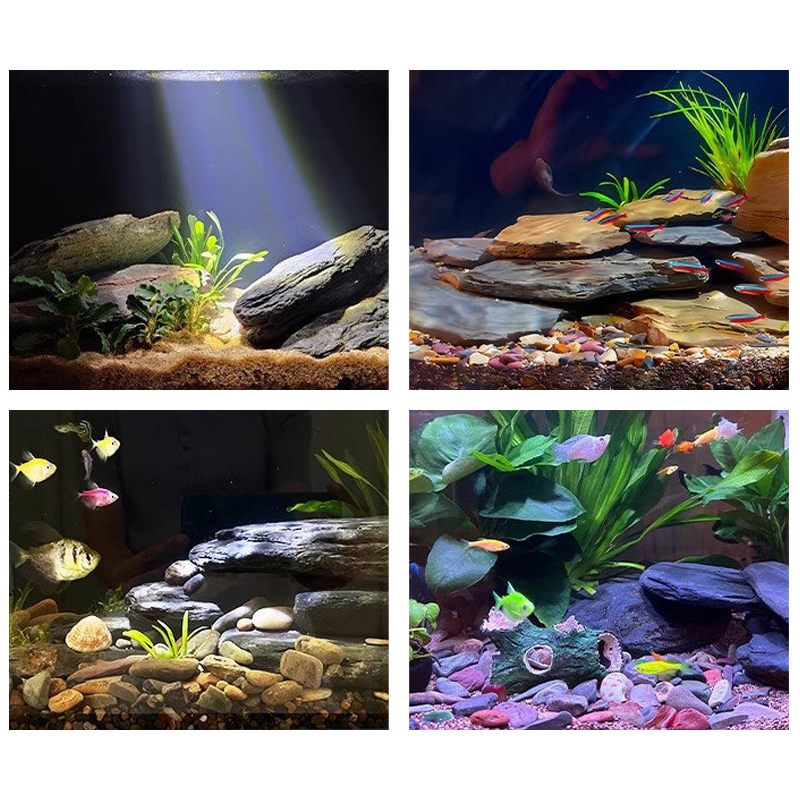 Kit de pierres paysagères pour - Marine Aquarium Tanks avis et prix