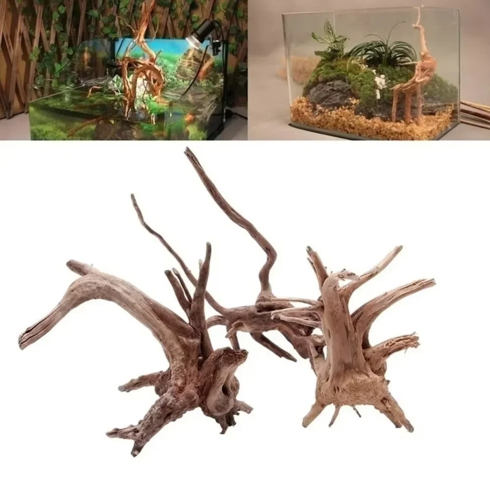 Décoration d'aquarium en bois  - Marine Aquarium Tanks avis et prix