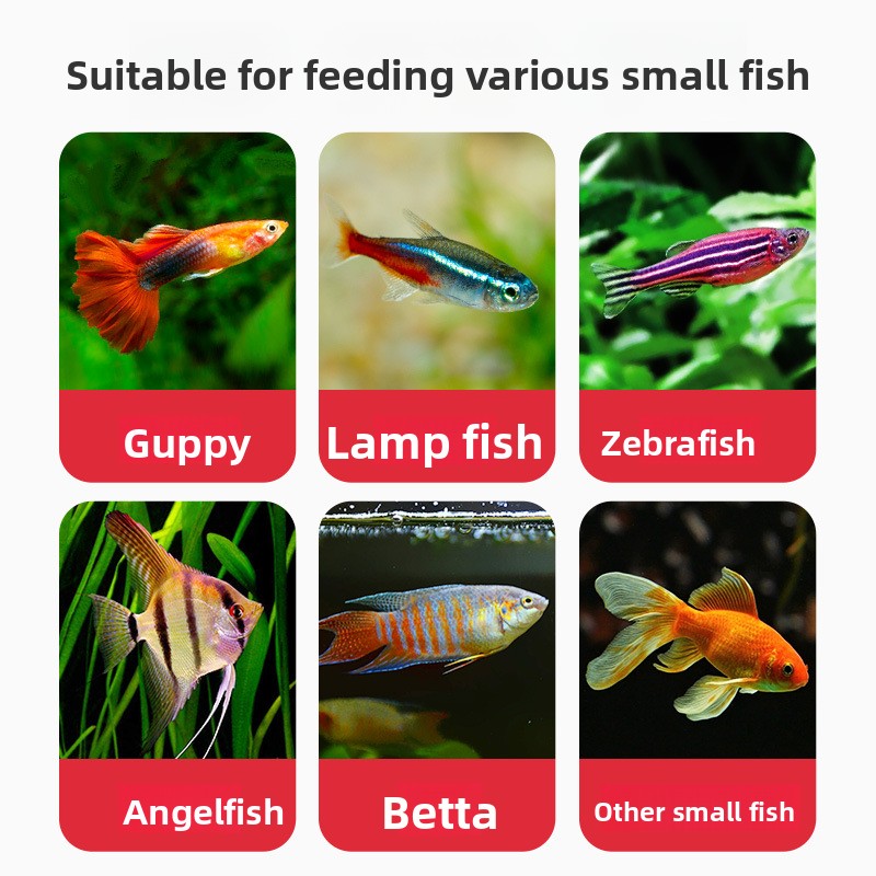 DEERA Flocons de poissons trop - Tetra Food Tropical Flakes avis et prix