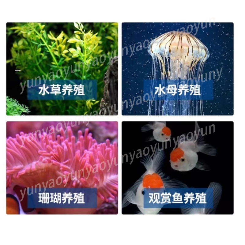 Petit refroidisseur d'aquarium - Marine Aquarium Chiller avis et prix