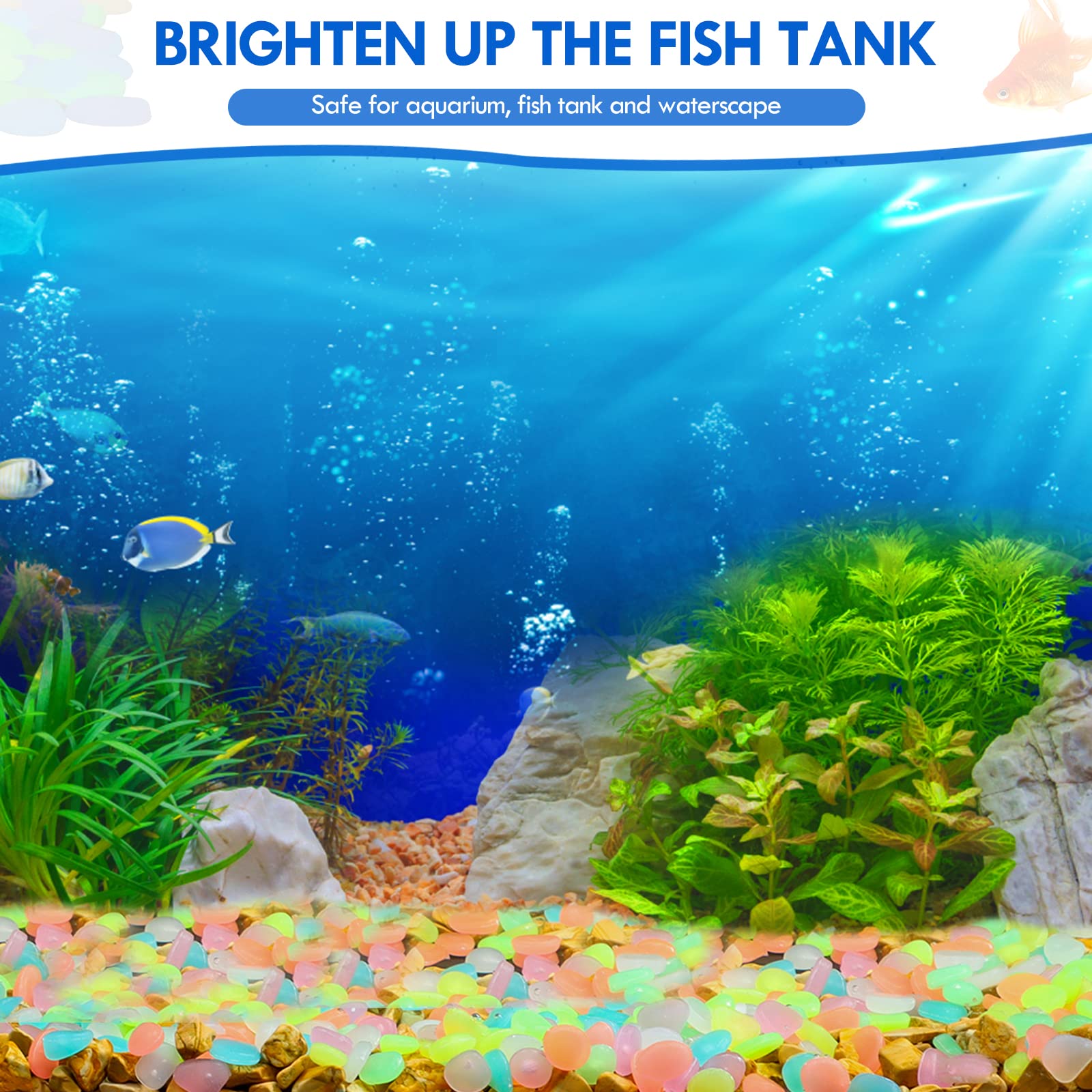 100 pièces brillent dans le no - Marine Aquarium Tanks avis et prix