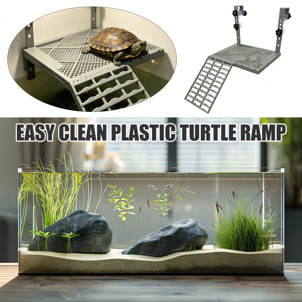 Décoration d'aquarium, platefo - Marine Aquarium Tanks avis et prix