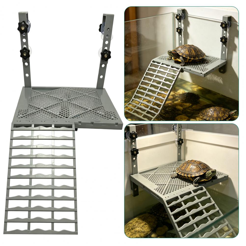 Décoration d'aquarium, platefo - Marine Aquarium Tanks avis et prix